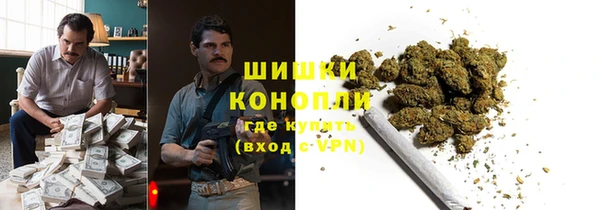 шишки Бронницы